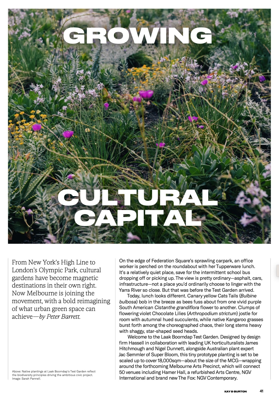 First page of a story on Laak Boorndap, a new garden planned for Melbourne's Arts Precinct. The story appears in issue 11 of Kay & Burton's The Luxury Report.